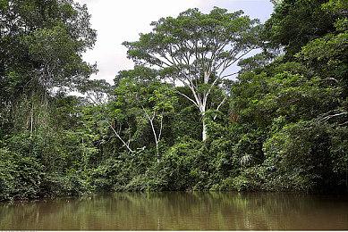 Remedy即将为旗下新作进行四天封闭测试活动